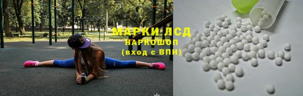 стаф Абинск