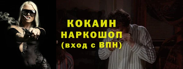 стаф Абинск