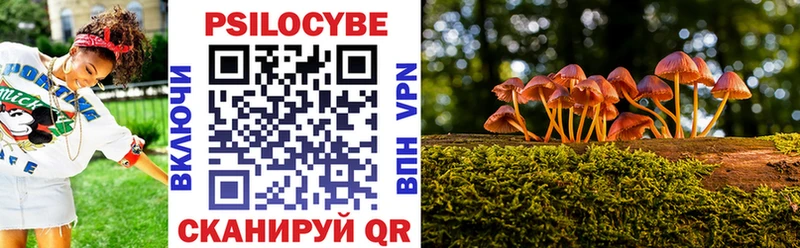 Галлюциногенные грибы Cubensis  OMG ссылка  Алагир  shop официальный сайт  купить  цена 