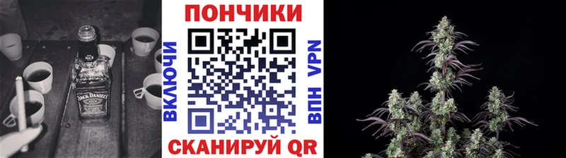 Бошки Шишки план Алагир